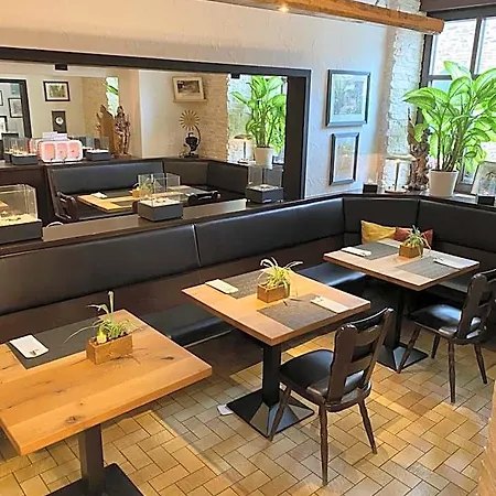 酒店 桑尼酒店 卡尔斯鲁厄